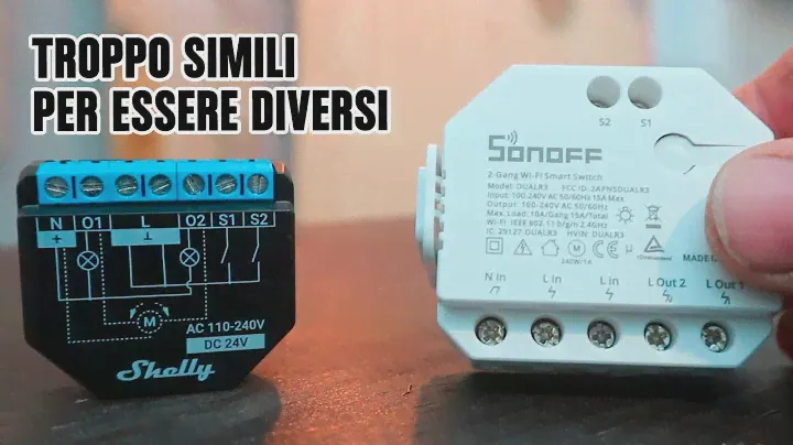 I due "doppio canale" più commerciali a confronto: Shelly Plus 2PM vs Sonoff Dual R3